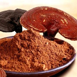 قهوه فوری گانودرما دکتر بیز
