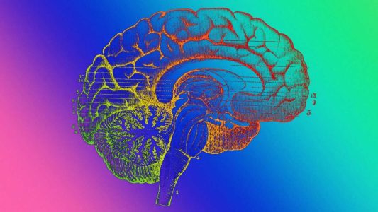 اسفناج و بادام چه تاثیری بر روی مغز دارند؟