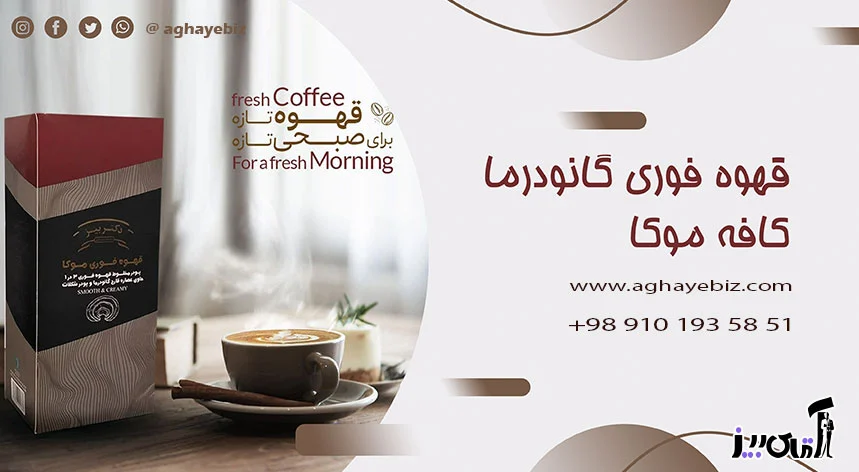 قهوه فوری موکا دکتر بیز برای لاغری