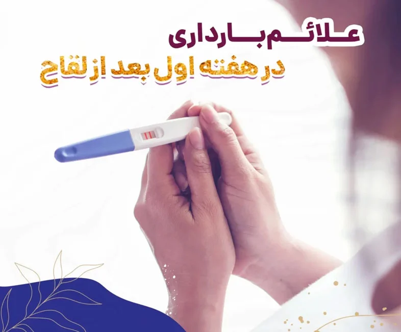 هفته اول بارداری چگونه است؟