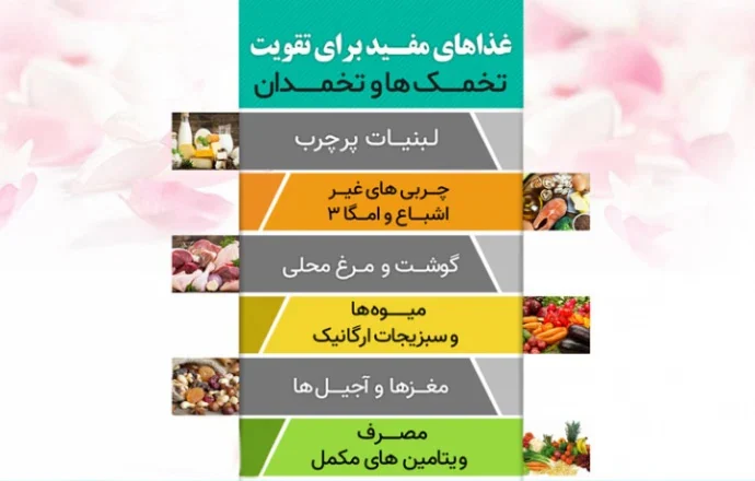 تقویت تخمک و بارداری سریع