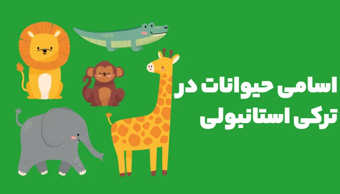 آموزش حیوانات به زبان ترکی استانبولی