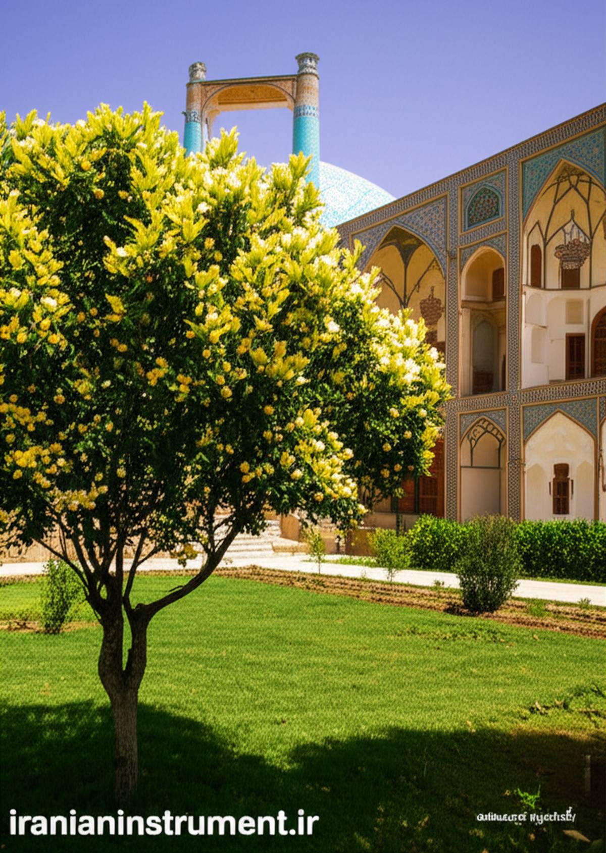 معرفی شهر شیراز
